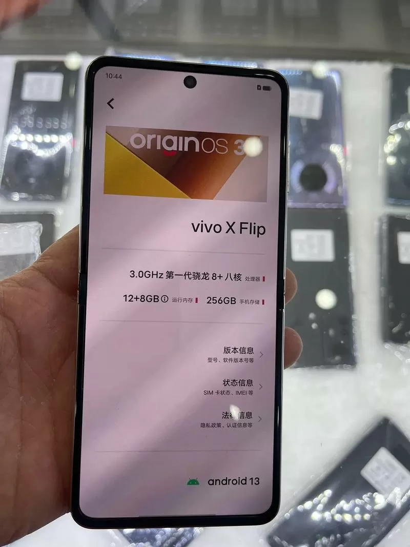 vivo手机静态ip是多少