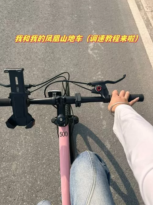 凤凰山地自行车车把怎么调整