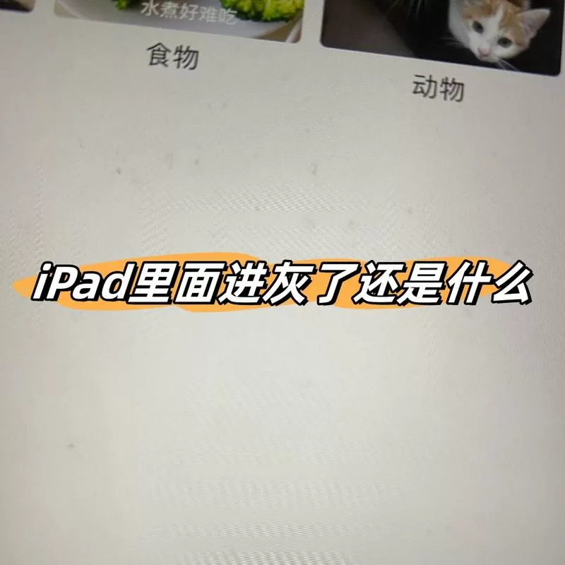 ipad内屏进灰后怎么都擦不掉