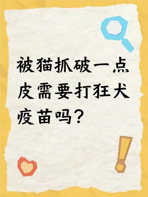 让猫挠一下用打狂犬疫苗吗