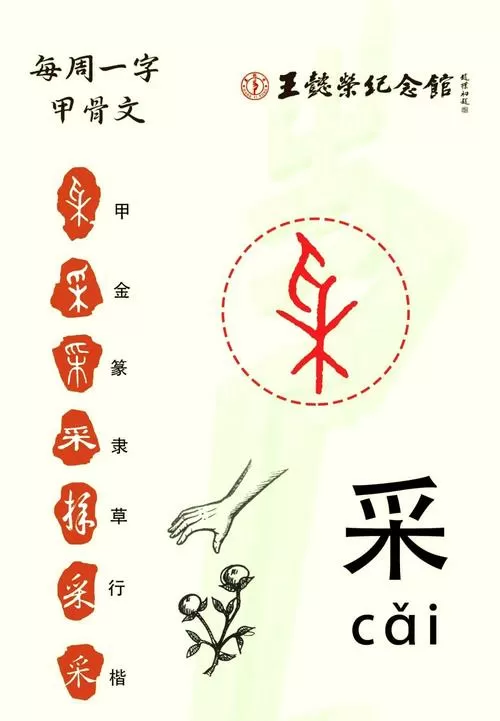 汉字的起源与演变