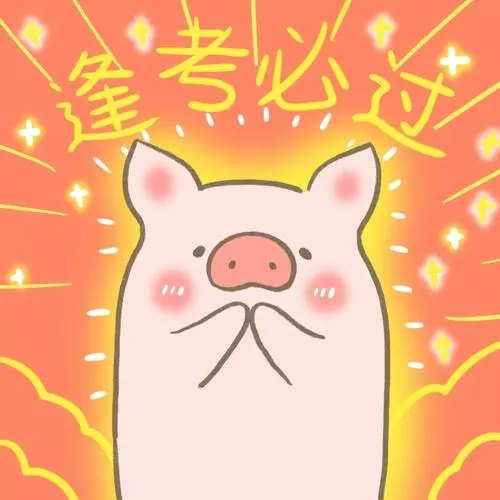 属猪今年考试能考过吗