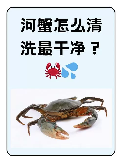 洗螃蟹用什么洗最干净