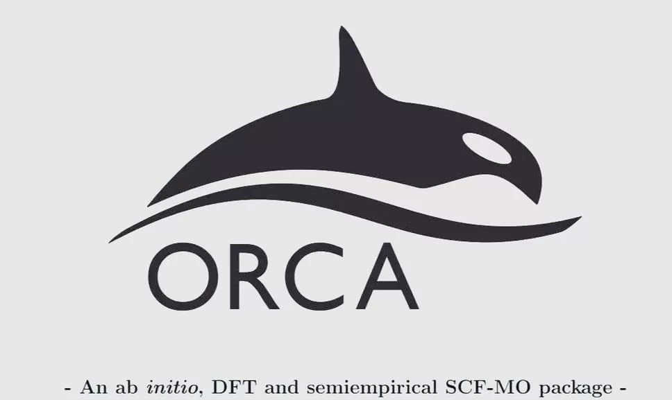 orca翻译成英语