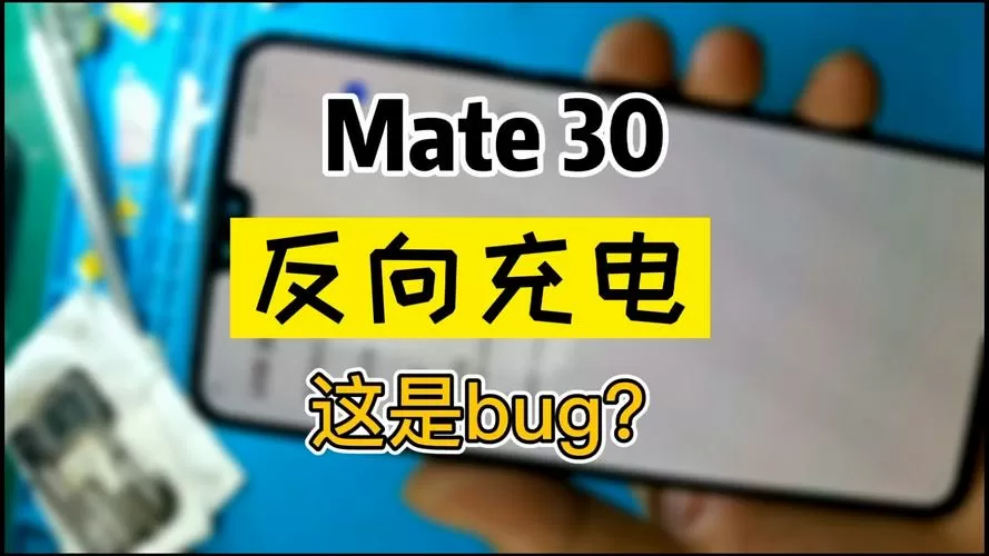 mate30支持反向充电吗