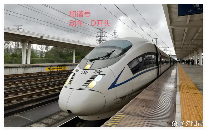 D开头的复兴号是什么车
