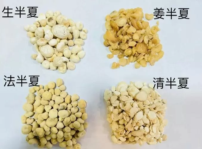 京半夏和清半夏的区别