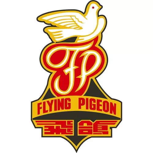 飞鸽电动车怎么样截图