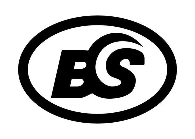 bs数学是什么版本