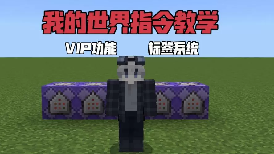 我的世界vip指令