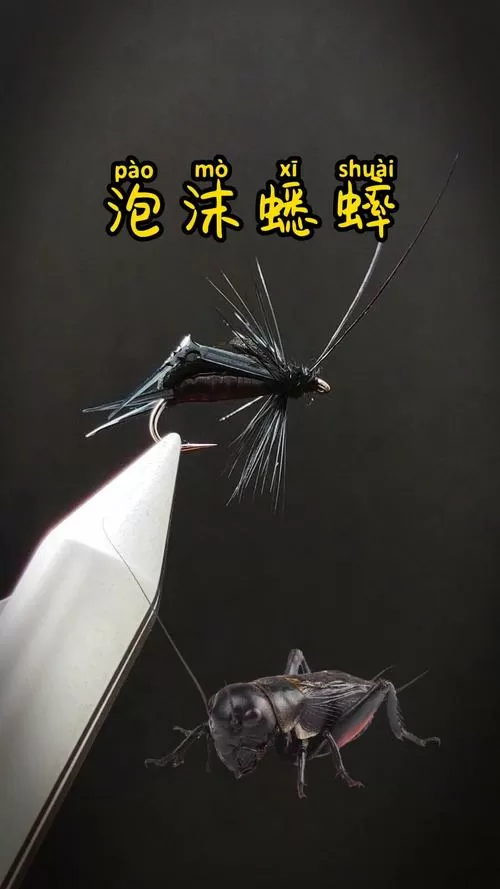 黑色蟋蟀值钱吗