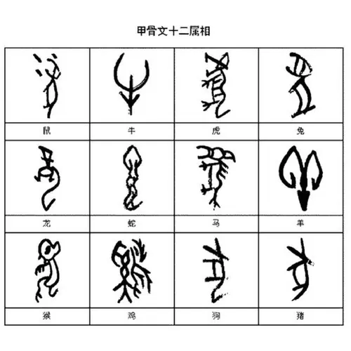 甲骨文的演变过程