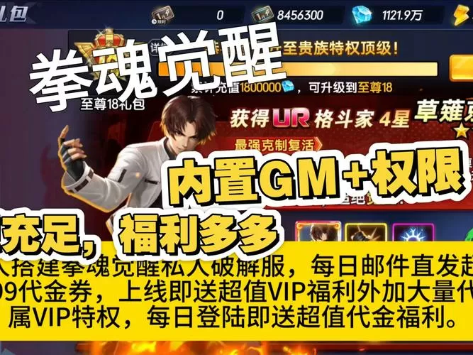 拳魂觉醒,内购免费