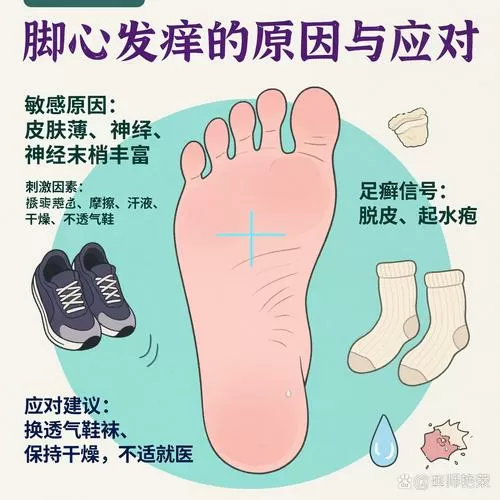 为什么脚底板会痒