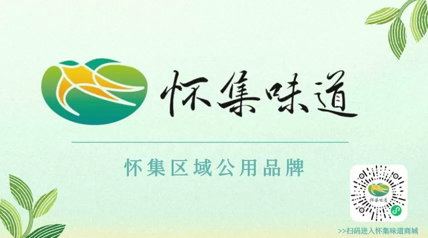 腐竹小说阅读器