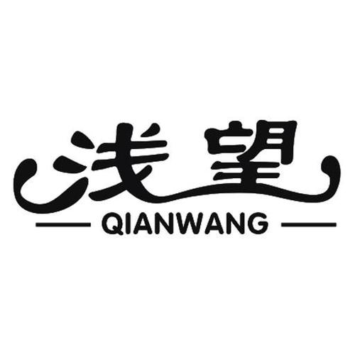 浅望什么意思