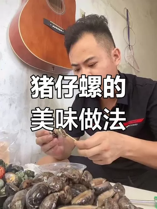 猪仔螺能吃吗