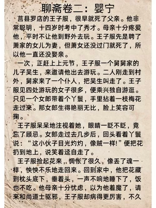 婴宁原文翻译及解析游戏截图