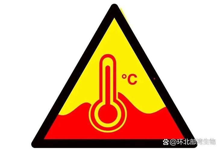 体感温度和温度的区别