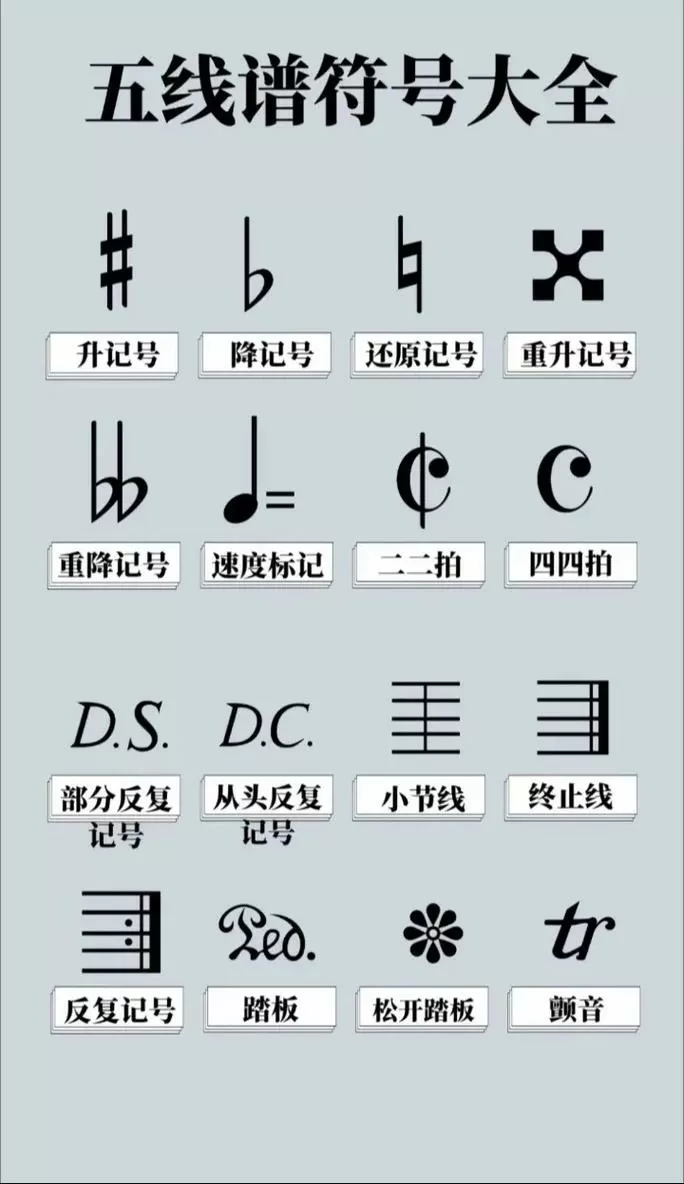 大提琴五线谱音符对照表缩略图