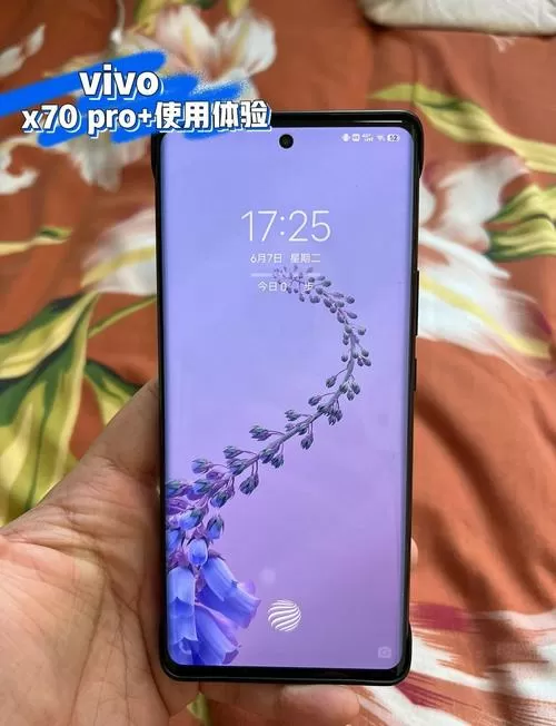 vivo X70 Pro+拍照