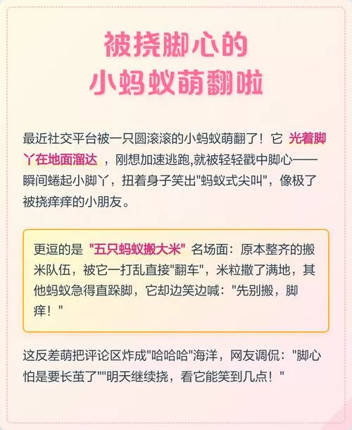 小蚂蚁被挠脚心搞笑视频