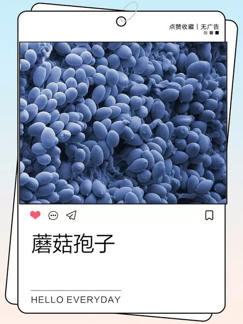 磨菇孢子是什么图标