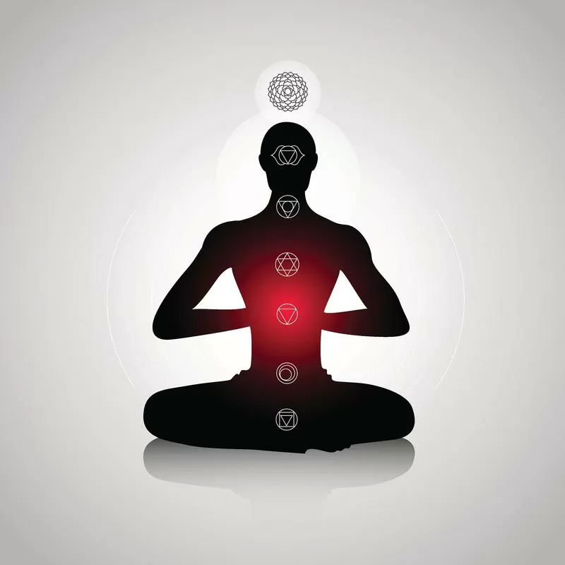 人体能量转换方法截图