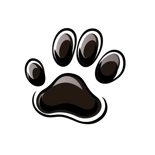 被猫抓了发病视频截图